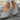 1e2693934b8e4824a2ece90cd07a002a-Max
