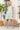 1e32432df6af46aaa573f82a569b2644-Max-Origin