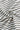 1f098d85-6180-4fa0-9798-19c1e7fb1bb5-Max-Origin