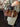 1f20122b-bc2b-4db3-8ba2-835a42a235df-Max-Origin