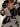 1f872868-1326-4e17-83f9-6c9148863232-Max-Origin