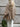 1fa781d745d14de299d1589e03a68808-Max-Origin