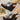 1fb280ef327447efb146d8c8563e9b3e-Max-Origin