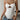 1fed4dc86865454980478744b1d67ce9-Max