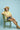 214b5645-8b5e-4200-90e8-88ab06fd2dda-Max