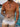 215a3580-0f51-4f24-87d8-de6307108589-Max