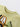 21ab40605acd44de859a1d234c704c60-Max-Origin