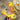 227046c8-b9f9-400b-bb7c-b68499d8651b-Max-Origin