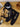 227f222b87ae4bea8bf3893d59d2b959-Max-Origin