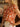22bfde937a96464f9bf3ea284b64c292-Max