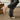 23e0a1c1-7c1b-4363-ab08-4e72a1e5e9d7-Max