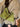23fba572-4013-4cbf-b463-cdf91c8bf99b-Max-Origin