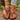 25dd1bd2-1d1e-47b3-934e-93508dbc0ec4-Max-Origin