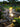 26991e1ba3504d0e8969c589d1c96812-Max