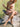 2699e468-575b-4ee2-8e73-ba30c2d61a6e-Max-Origin