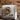 26d692e5-a72d-4c13-8d21-3a3fa579b332-Max-Origin