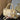 27817769124d4322bb2ab67c79941a4e-Max-Origin