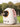 2851a607-c9d2-496c-b701-b4d3771b11f8-Max-Origin