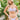29aa6554-8083-4983-9447-6885e2322aba-Max-Origin