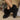 2a11c363490243ca99872c709ea29807-Max-Origin