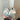 2b9659b8-77e0-4d2e-be3f-cf70c9c44a00-Max-Origin