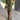 2bf0804e3cc6479a9bdd78e28310e5e1-Max
