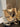 2cc8a845-a322-48cb-aec8-5a8078e94ed7-Max-Origin