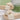 2d096d40db8b43cba6386c9142e55049-Max-Origin