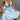 2d4b699c-6f4a-4d6d-b7a1-654e5c018eee-Max-Origin