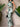 2dfb4146daac4a82b0898f3d1abffb20-Max-Origin