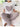 2e19d9b556a24da0bfdc3de5c8c47460-Max-Origin