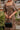 2ec902f6-7034-428e-8fa1-75fd3280cc43-Min