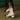 2f2618e3-d593-4f73-ae28-629c54eab11f-Max-Origin