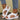 2f44d39e-4292-47fb-bbeb-1e247bd426ec-Max-Origin