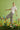 302d8e04-1b6f-4597-8a11-6ed42db205e4-Max-Origin