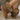 306af83337c74af4a8584d195a8cd4b5-Max-Origin