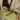 30d5f039-82b1-498f-be51-b41de405a56e-Max-Origin