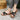 3191a46f-b544-448e-9fd0-59dc29c89b2d-Max-Origin