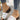 31c42e3f0c4447ba8e21243a29db9d5a-Max-Origin