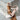 31ea7a3e-58dc-425f-8c85-5c947f86c74b-Max-Origin