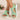 3261c02a8ed84f05afc983ce5e89acd7-Max-Origin
