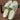 32779968-9944-4205-be77-f64e5e569ce1-Max-Origin
