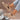 32ca24e7-6f49-4115-be1c-9864192c4564-Max-Origin