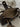 32f62bcf-d275-4109-afca-59677d7a31fa-Max-Origin