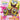 SPONGEBOB SQUAREPANTS by Nickelodeon-0