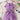 33845e17-172a-4252-bc8c-10f19a35fb53-Max-Origin