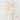 3472da4e-1e06-4ede-8155-471c4e4d26ec-Max-Origin