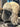 352d0f9c0e274b56a6e5b64a080e8359-Max-Origin