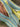 35468ea2-40c1-451c-9894-19938e22cd7e-Max