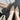 3643b18f-31d9-45ba-bb8f-866b98ee0742-Max